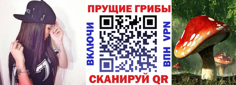 Галлюциногенные грибы Psilocybine cubensis  Купить  Югорск 